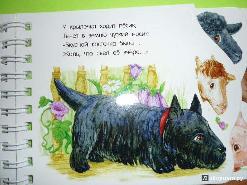 Иллюстрация 24 из 31 для На ферме - Юлия Каспарова | Лабиринт - книги. Источник: Оксана