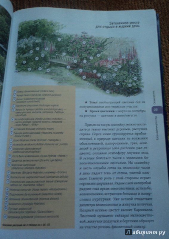 Иллюстрация 13 из 32 для Мой цветущий сад. Простые методы создания клумб - Уте Бауэр | Лабиринт - книги. Источник: Alexsis