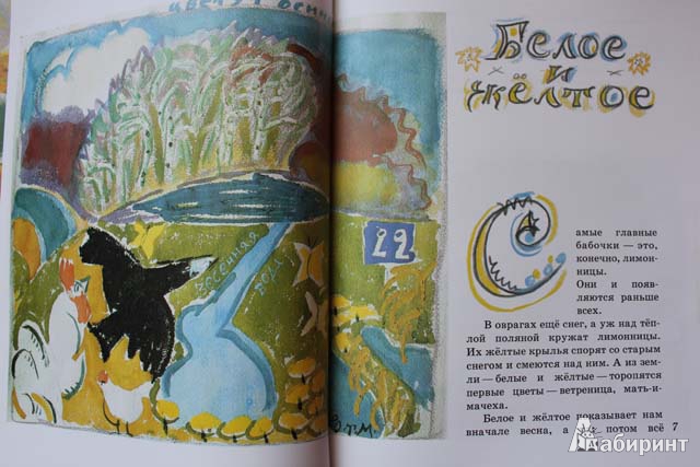 Иллюстрация 20 из 73 для Бабочки - Юрий Коваль | Лабиринт - книги. Источник: сима