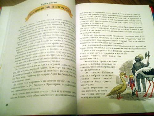Иллюстрация 8 из 61 для Чудесное путешествие Нильса с дикими гусями - Сельма Лагерлеф | Лабиринт - книги. Источник: Galia
