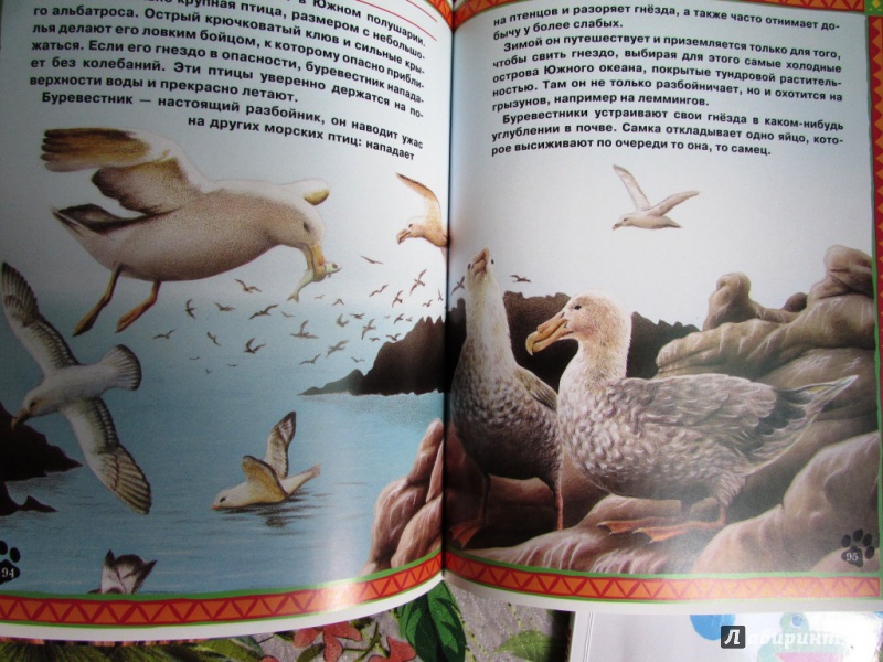 Иллюстрация 15 из 17 для Большие и маленькие. Интересные факты о животных | Лабиринт - книги. Источник: настя тимарг