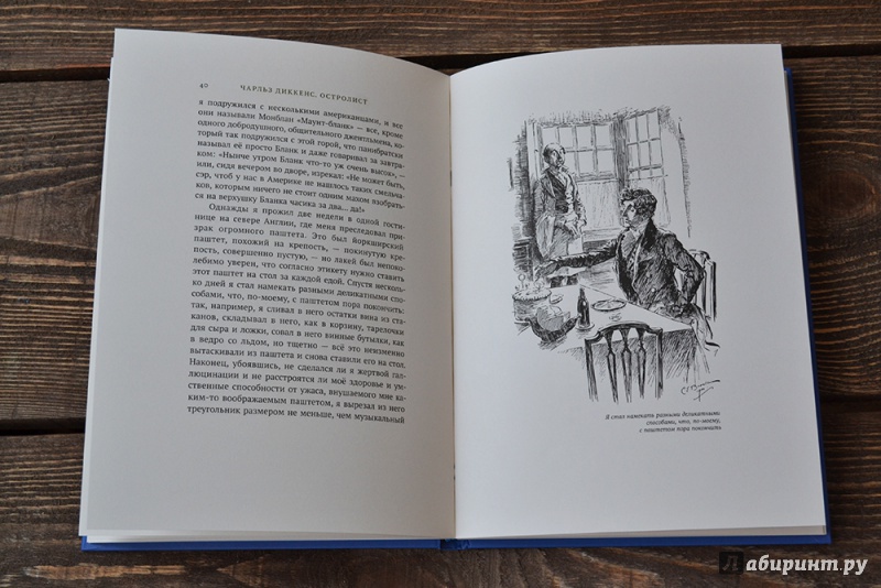 Иллюстрация 15 из 45 для Остролист - Чарльз Диккенс | Лабиринт - книги. Источник: Симонова Ирина