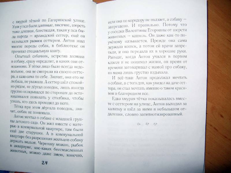 Иллюстрация 20 из 24 для Девочка, мальчик, собака - Валерий Воскобойников | Лабиринт - книги. Источник: Red cat ;)