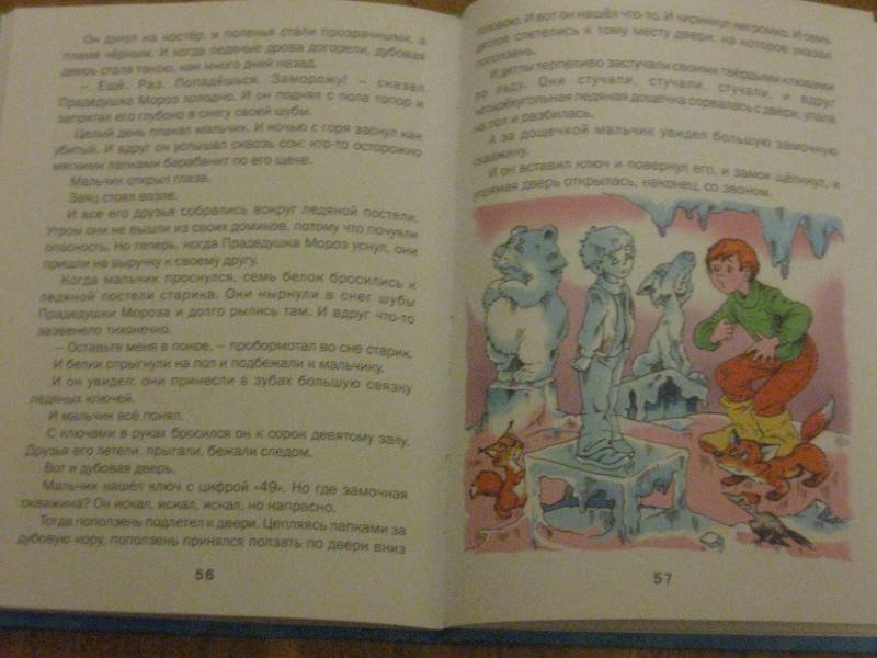 Иллюстрация 9 из 9 для Новогодняя сказка: Сказки - Сергей Козлов | Лабиринт - книги. Источник: Ioulia
