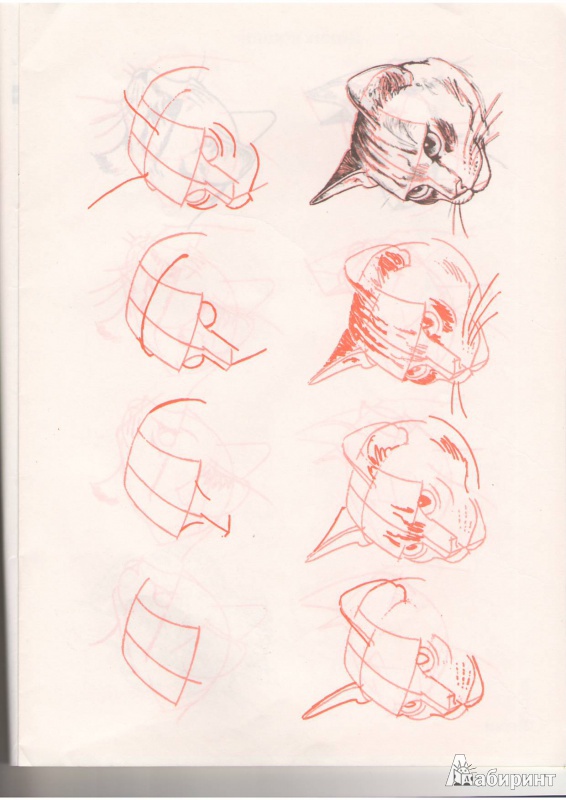 Иллюстрация 2 из 35 для Рисуем 50 кошек - Ли Эймис | Лабиринт - книги. Источник: Tiger.