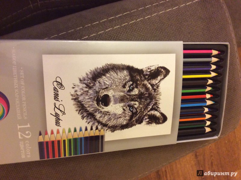Иллюстрация 20 из 55 для Набор цветных карандашей, 12 цветов "Волк" (32870-12) | Лабиринт - канцтовы. Источник: Лабиринт