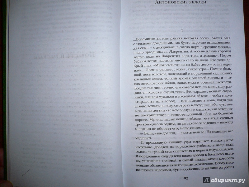 Иллюстрация 30 из 32 для Темные аллеи. Окаянные дни. Повести и рассказы - Иван Бунин | Лабиринт - книги. Источник: Прокопенкова  Татьяна