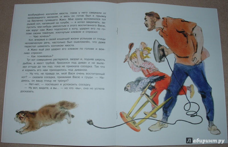 Иллюстрация 25 из 31 для Воинственный Жако - Сергей Воронин | Лабиринт - книги. Источник: Книжный кот