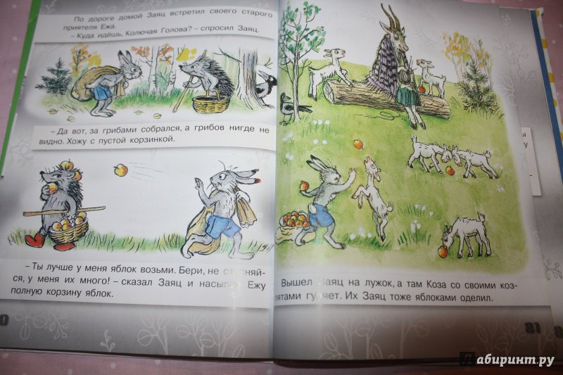 Иллюстрация 20 из 27 для Сказки в картинках - Владимир Сутеев | Лабиринт - книги. Источник: VikaHapalkina