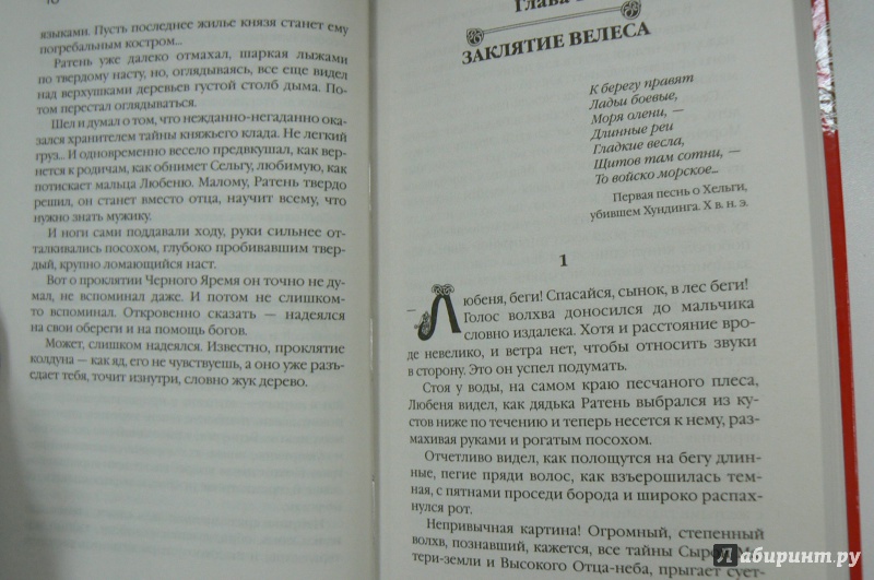 Иллюстрация 5 из 5 для Викинги. Скальд - Николай Бахрошин | Лабиринт - книги. Источник: Марина