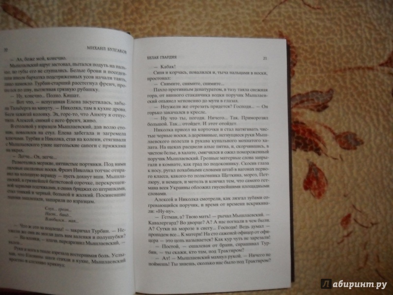 Иллюстрация 14 из 24 для Белая гвардия - Михаил Булгаков | Лабиринт - книги. Источник: D