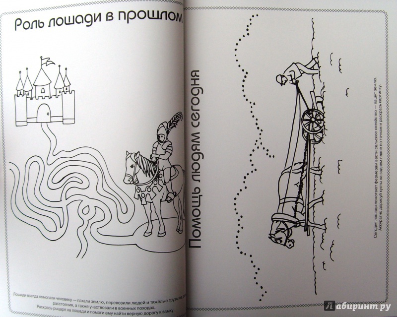Иллюстрация 14 из 22 для Лошади - Анна Торманова | Лабиринт - книги. Источник: Соловьев  Владимир