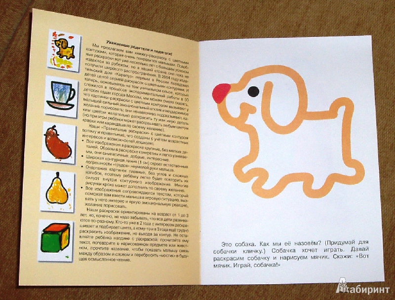 Иллюстрация 9 из 12 для Животные. 1-3 года | Лабиринт - книги. Источник: Шафунова  Марина Александровна