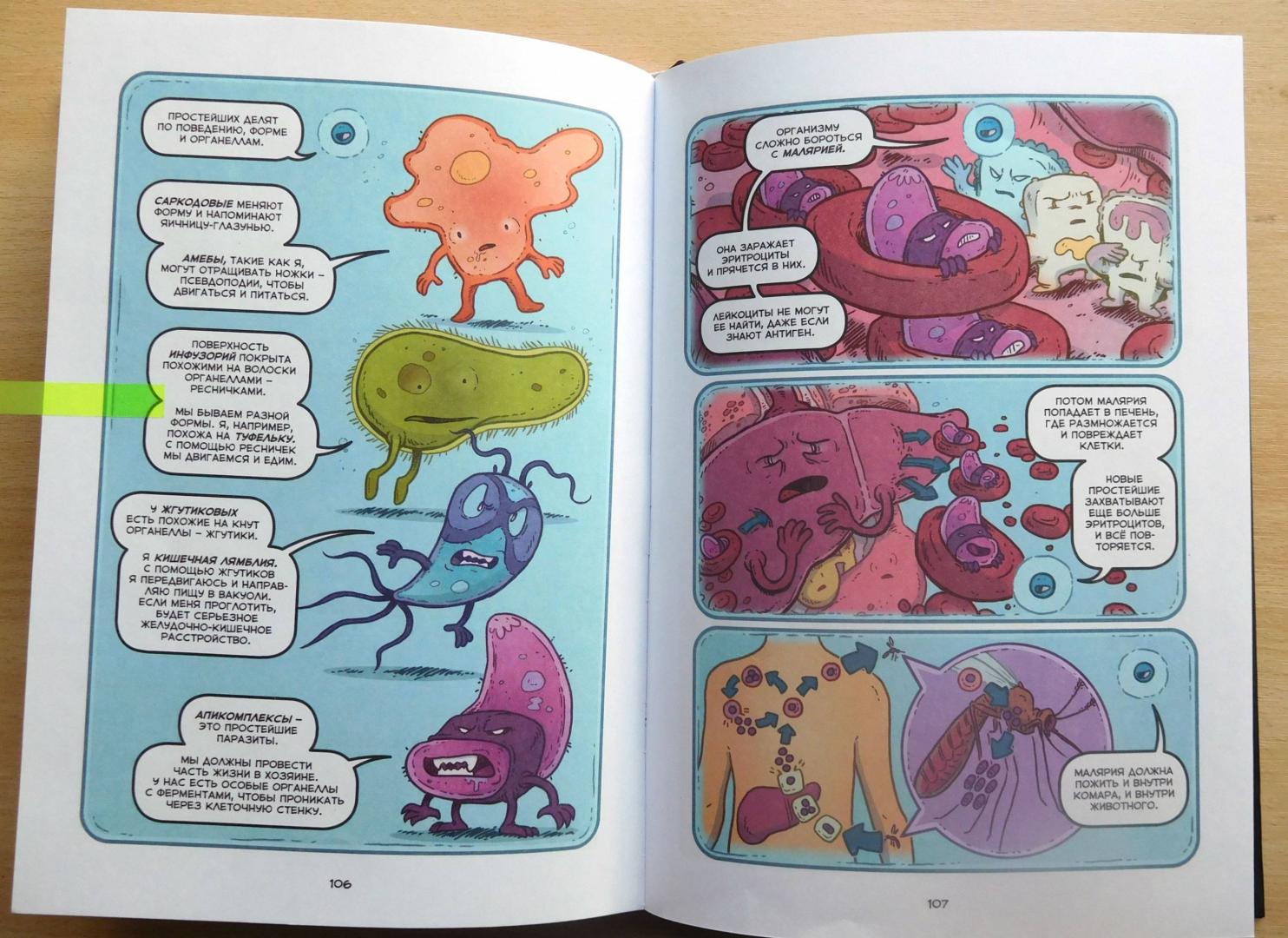Иллюстрация 51 из 58 для Вирусы и микробы. Научный комикс - Фалинн Кох | Лабиринт - книги. Источник: Годовёнок