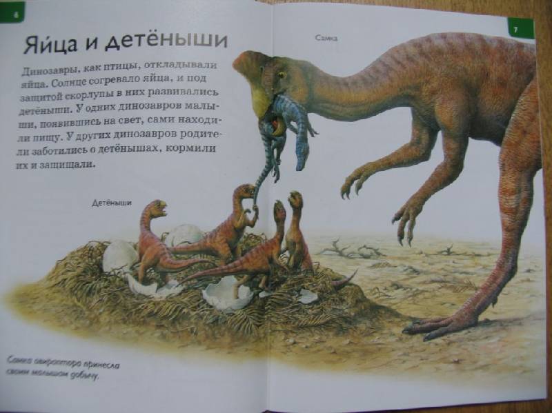 Иллюстрация 6 из 31 для Динозавры - Роберт Коуп | Лабиринт - книги. Источник: ВВС