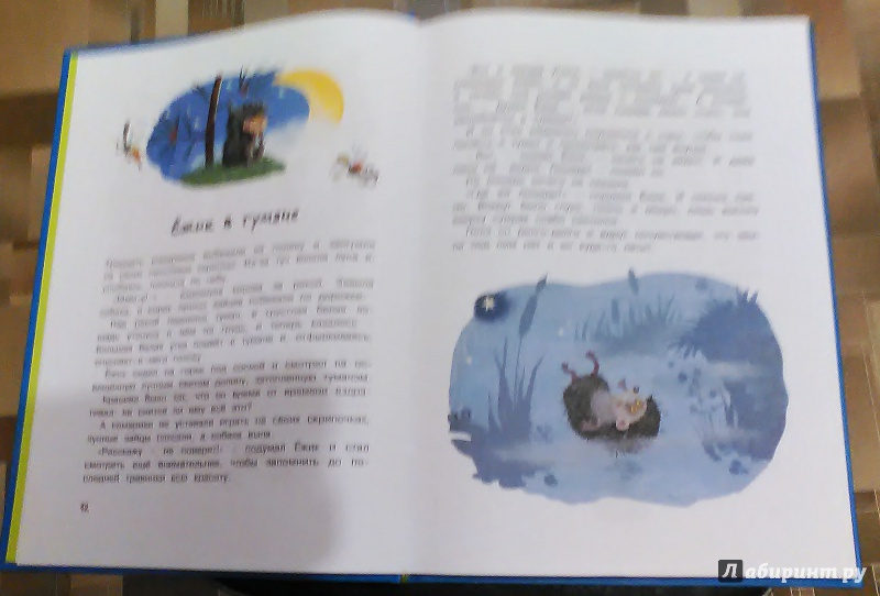 Иллюстрация 26 из 28 для Большая книга сказок - Сергей Козлов | Лабиринт - книги. Источник: =Green-cat=