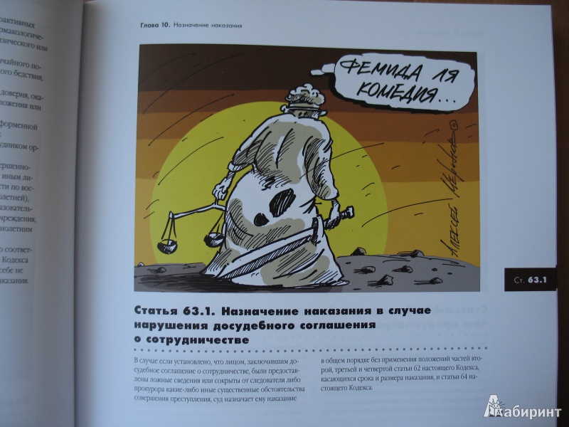 Иллюстрация 21 из 26 для Иллюстрированный Уголовный кодекс РФ | Лабиринт - книги. Источник: AnnaSanna
