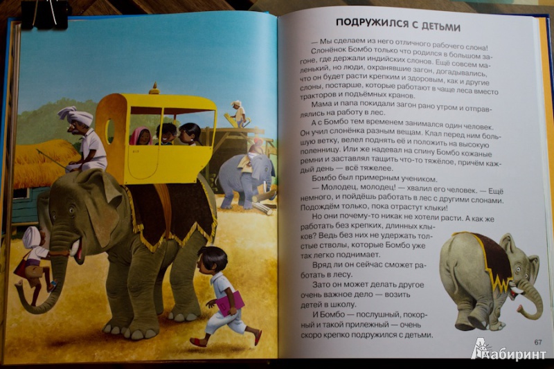 Иллюстрация 12 из 36 для Веселые истории о животных - Пьеранджела Фьорани | Лабиринт - книги. Источник: nata_