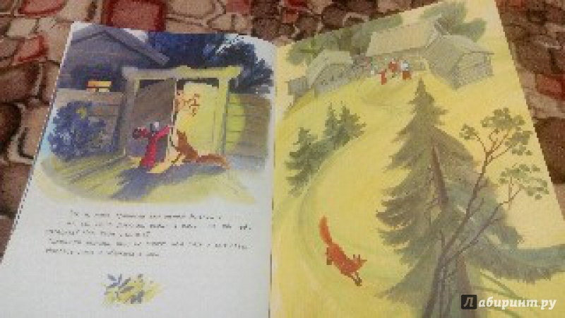 Иллюстрация 20 из 26 для Девочка и лиса | Лабиринт - книги. Источник: Сажина  Александра Андреевна