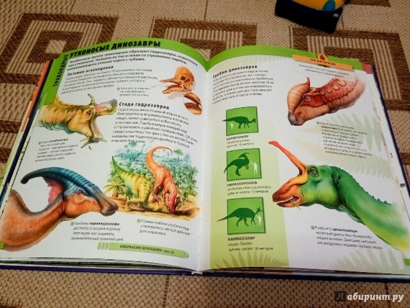 Иллюстрация 8 из 10 для Мир динозавров - Барбара Маевская | Лабиринт - книги. Источник: Лазурченко  Надежда