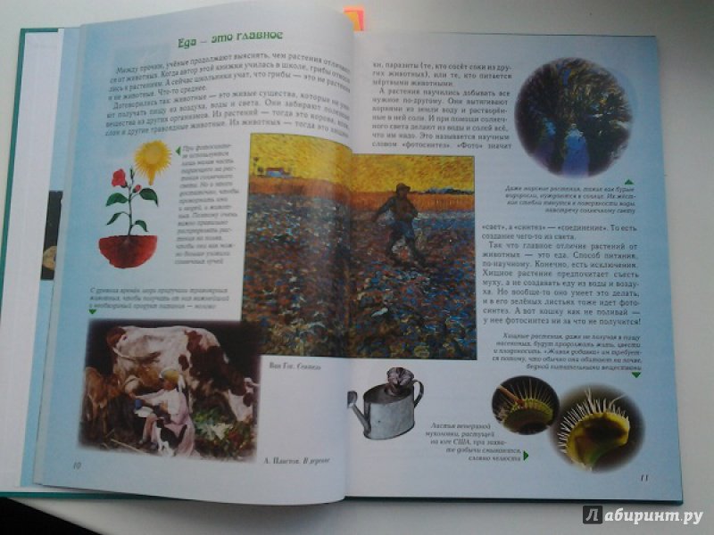 Иллюстрация 21 из 49 для Занимательная ботаника - Светлана Лаврова | Лабиринт - книги. Источник: Достойная