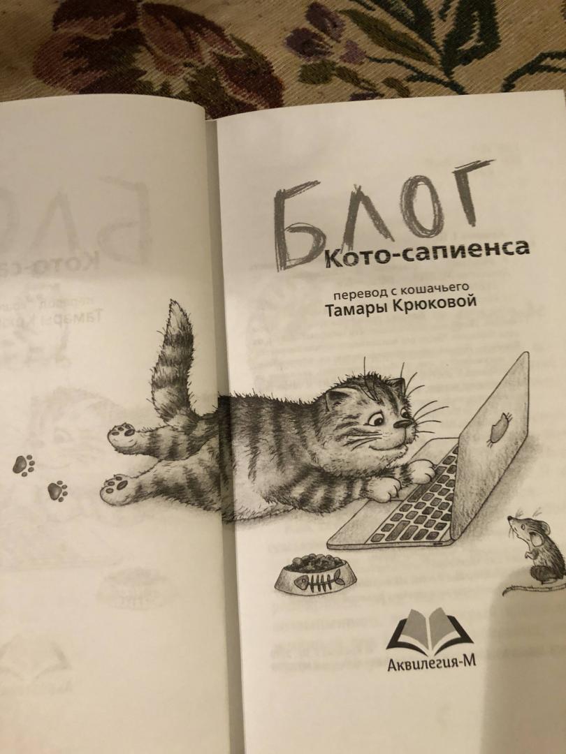 Иллюстрация 27 из 32 для Блог кото-сапиенса - Тамара Крюкова | Лабиринт - книги. Источник: Svetok337