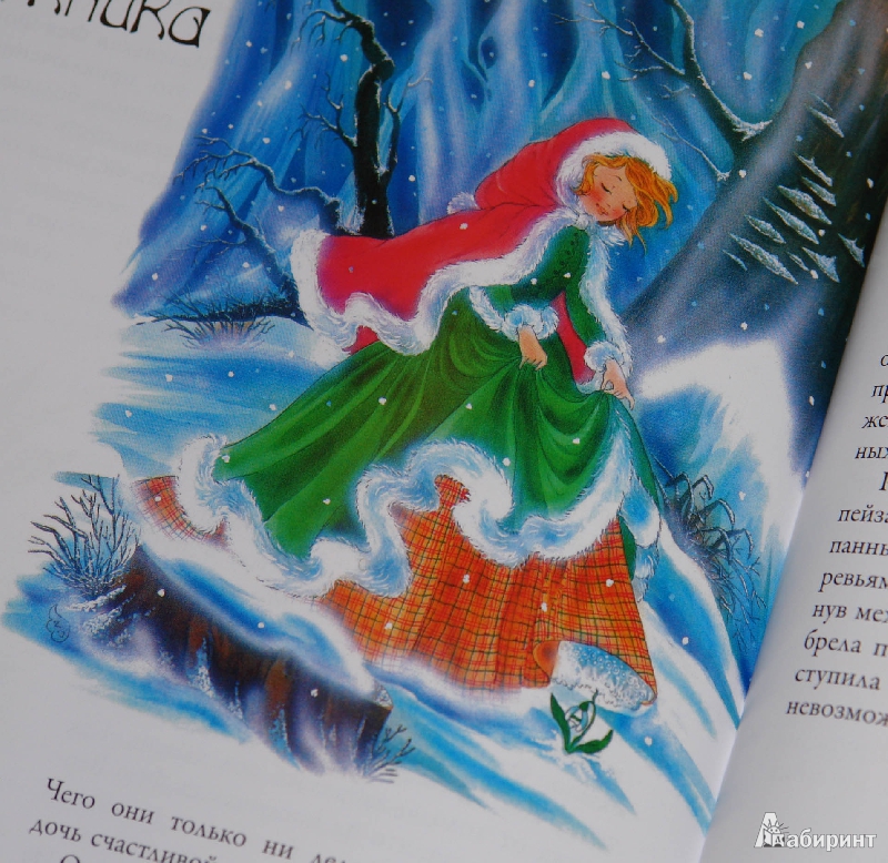 Иллюстрация 21 из 31 для Сказки цветочного королевства - Кристл Вогл | Лабиринт - книги. Источник: pany_beata*
