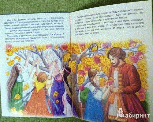 Иллюстрация 3 из 3 для Хаврошечка | Лабиринт - книги. Источник: alex-sandr