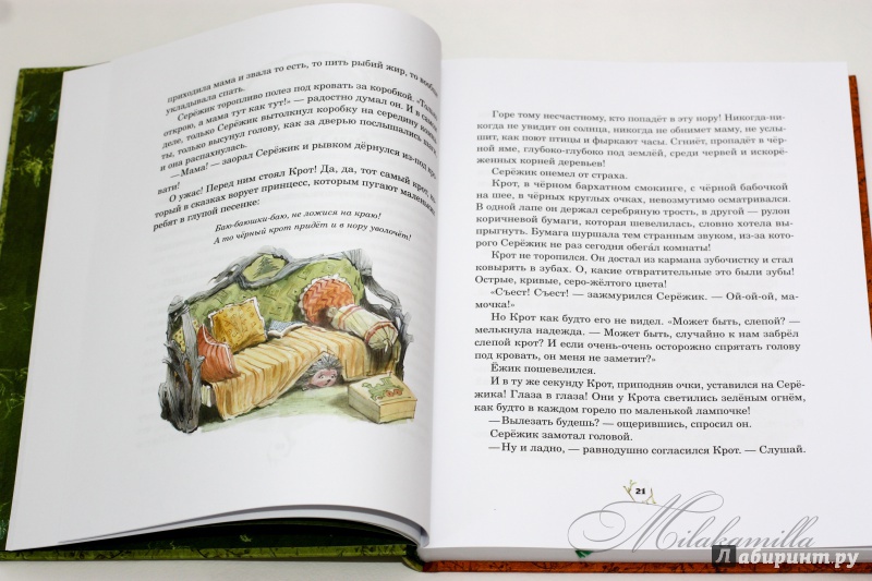 Иллюстрация 72 из 224 для Серёжик - Елена Ракитина | Лабиринт - книги. Источник: Букландия