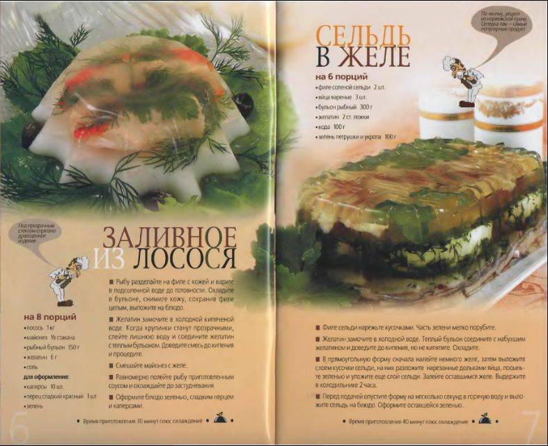 Иллюстрация 15 из 16 для Заливные блюда | Лабиринт - книги. Источник: enotniydrug