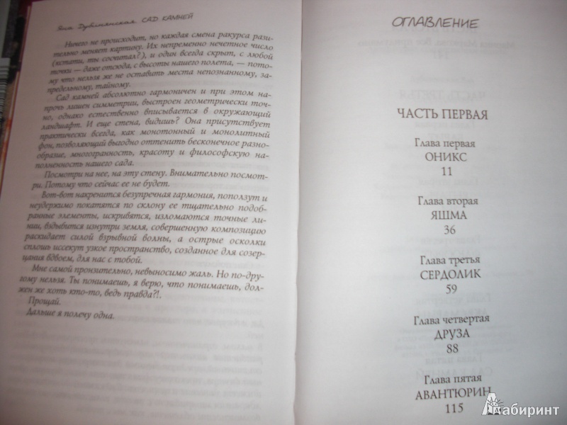 Иллюстрация 24 из 25 для Сад камней - Яна Дубинянская | Лабиринт - книги. Источник: Татаринова  Дарья