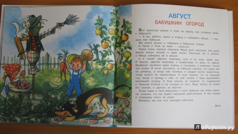 Иллюстрация 36 из 41 для Времена года - Владимир Сутеев | Лабиринт - книги. Источник: Штерн  Яна