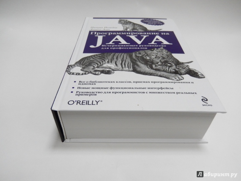 Иллюстрация 2 из 10 для Программирование на Java - Нимейер, Леук | Лабиринт - книги. Источник: dbyyb