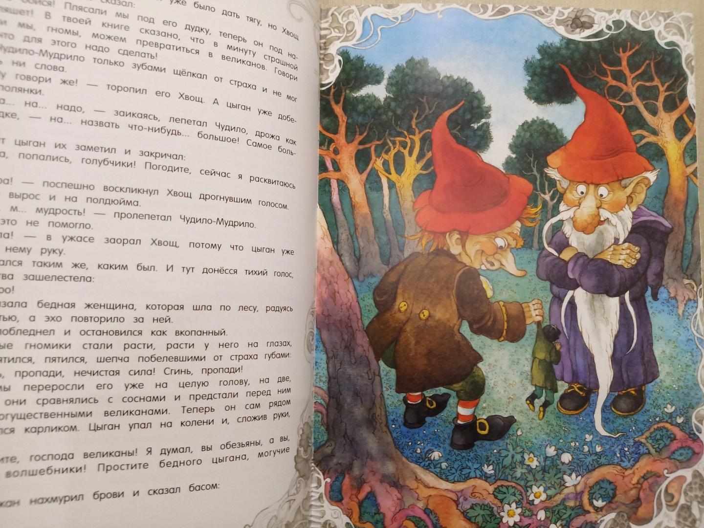 Иллюстрация 16 из 29 для О гномах и сиротке Марысе - Мария Конопницкая | Лабиринт - книги. Источник: Буэндия