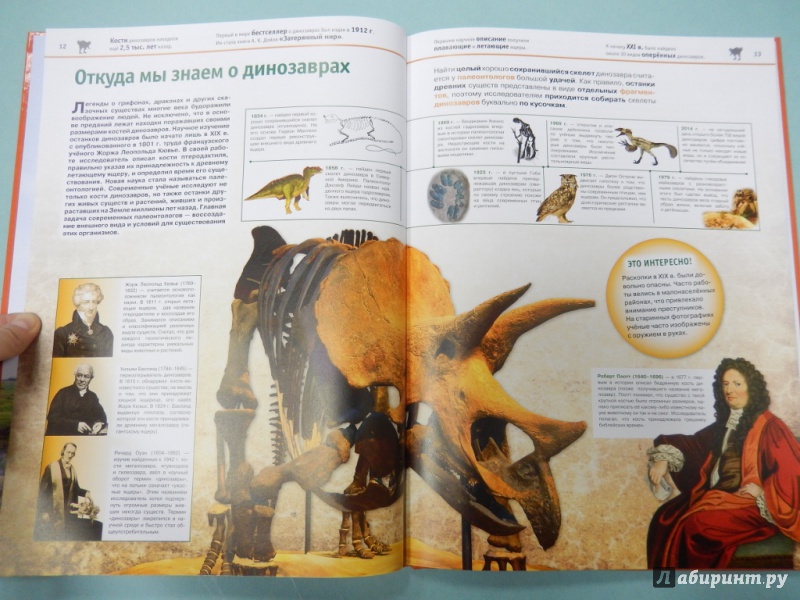 Иллюстрация 8 из 21 для Динозавры - Виктория Владимирова | Лабиринт - книги. Источник: dbyyb
