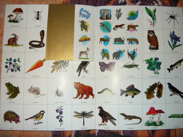 Иллюстрация 7 из 9 для Экология для малышей. Для занятия с детьми от 6 до 7 лет. | Лабиринт - книги. Источник: Ромашка:-)