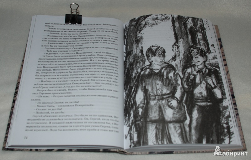 Иллюстрация 19 из 29 для Ласточка-звездочка - Виталий Сёмин | Лабиринт - книги. Источник: Книжный кот