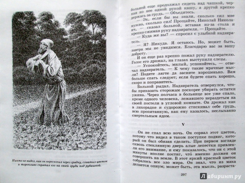 Иллюстрация 30 из 41 для Рассказы - Всеволод Гаршин | Лабиринт - книги. Источник: Зеленая шляпа
