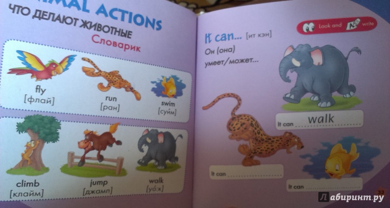 Иллюстрация 6 из 21 для Animal Fun. Животные. Учим английский с героями Диснея | Лабиринт - книги. Источник: Nota B