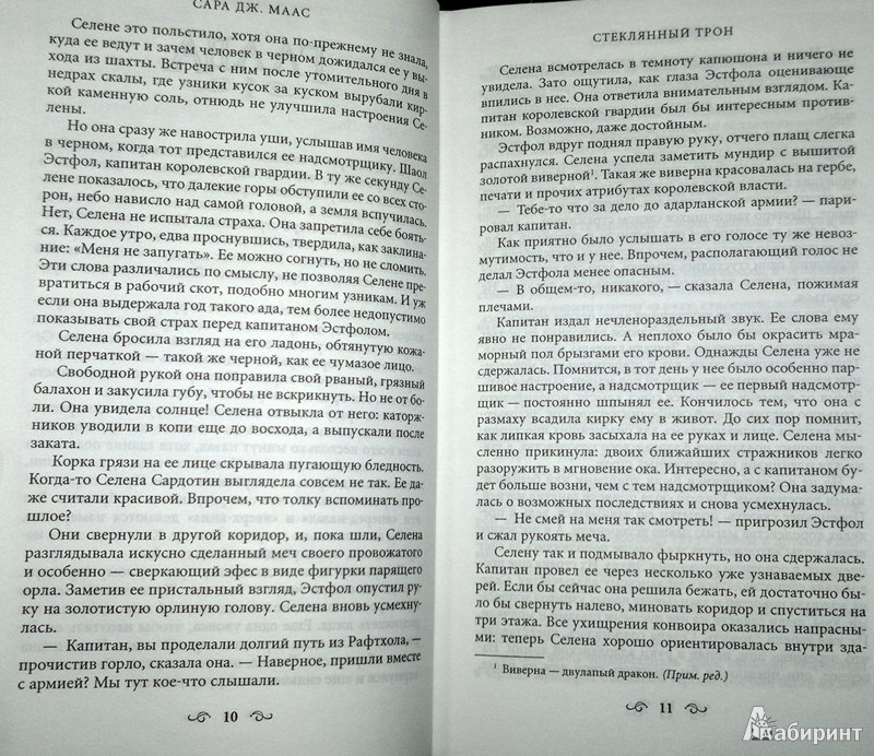 Иллюстрация 7 из 12 для Стеклянный трон - Сара Маас | Лабиринт - книги. Источник: Леонид Сергеев