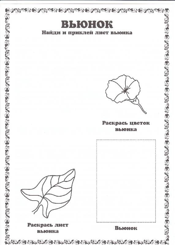 Иллюстрация 8 из 19 для Гербарий: Полевые цветы и травы | Лабиринт - игрушки. Источник: Трофимова  Оксана Викторовна