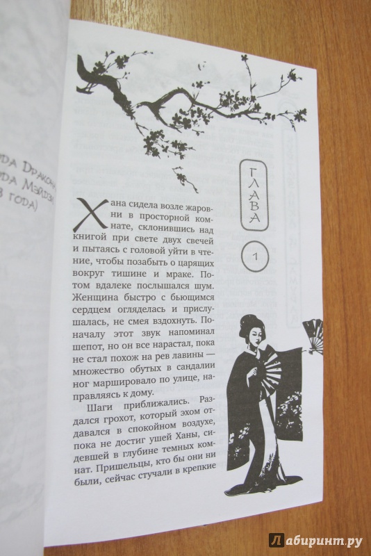 Иллюстрация 11 из 27 для Куртизанка и самурай - Лесли Доунер | Лабиринт - книги. Источник: Hitopadesa