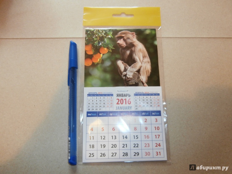 Иллюстрация 2 из 2 для Календарь на магните на 2016 год. Год обезьяны. Маленький павиан (20626) | Лабиринт - сувениры. Источник: Tiger.