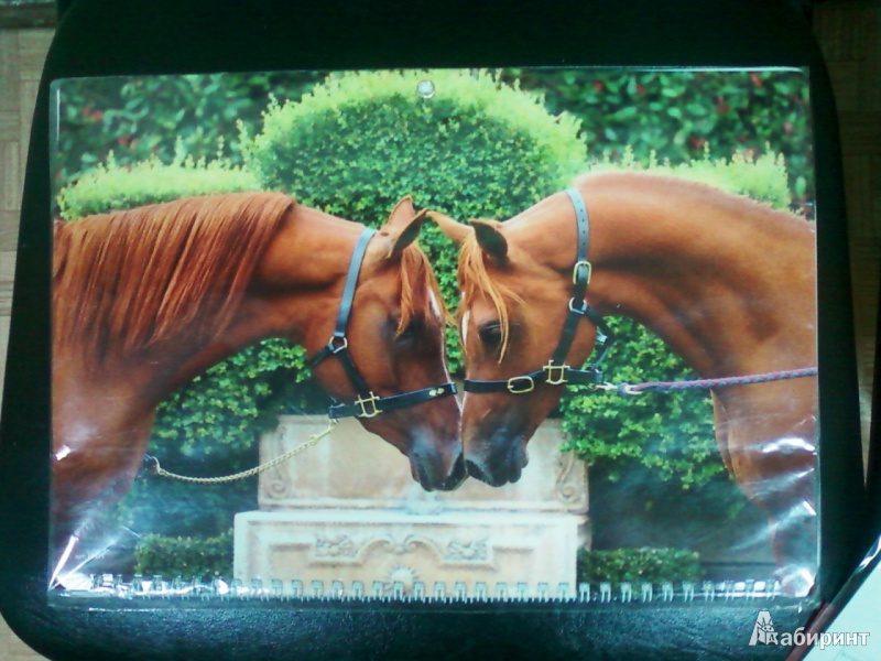 Иллюстрация 3 из 7 для Календарь 2014 на 3-х спиралях с пиколло и курсором "Год лошади. Двойной портрет" (14411) | Лабиринт - сувениры. Источник: lettrice