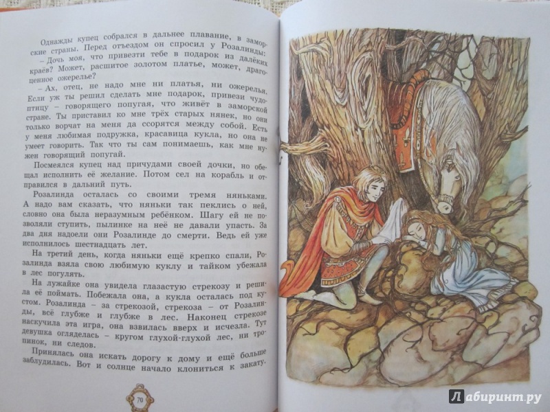 Иллюстрация 42 из 43 для Принцесса из Апельсина | Лабиринт - книги. Источник: ЮлияО