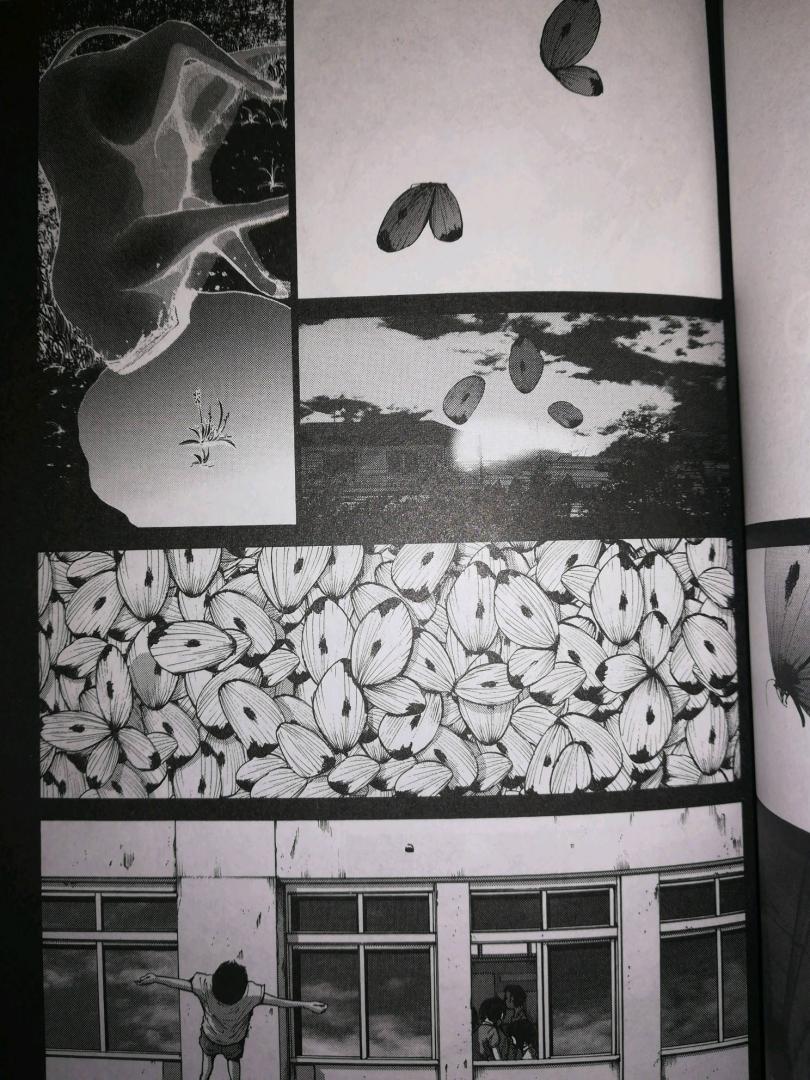 Иллюстрация 15 из 24 для Голограф на Радужном поле - Инио Асано | Лабиринт - книги. Источник: Чумаков  Валерий