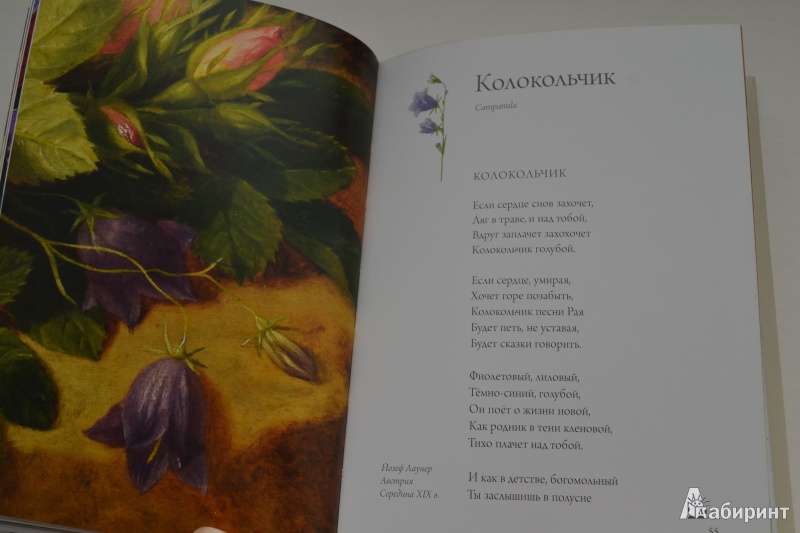 Иллюстрация 6 из 58 для Любовь к ботанике | Лабиринт - книги. Источник: Nataushe