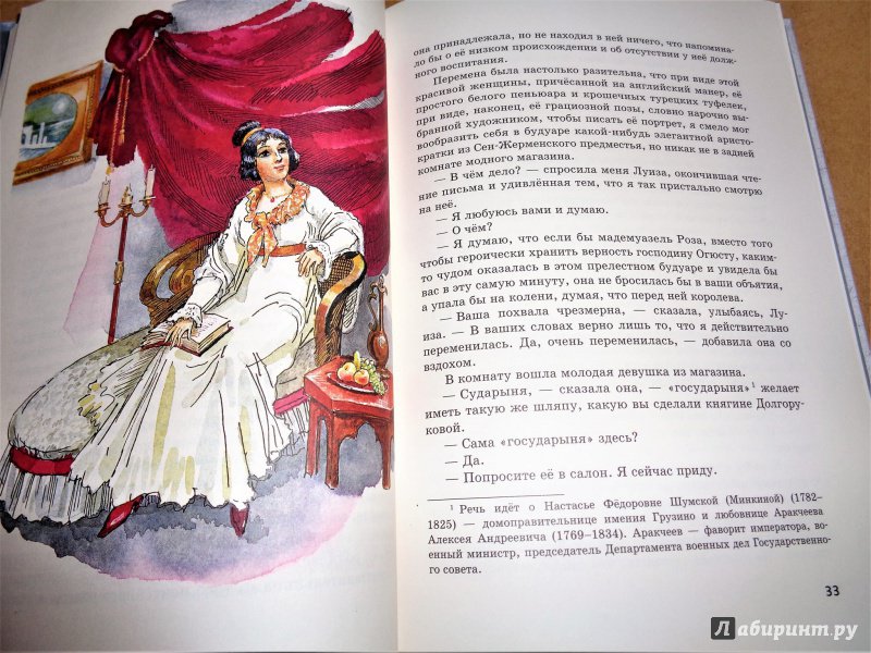 Иллюстрация 16 из 25 для Учитель фехтования - Александр Дюма | Лабиринт - книги. Источник: Воронина  Олеся
