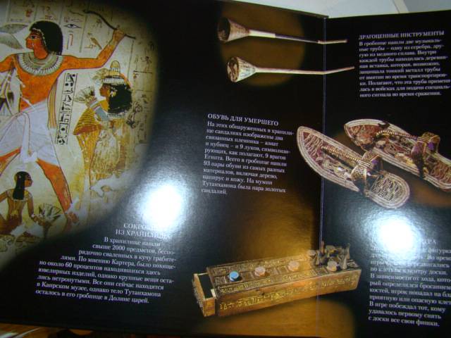 Иллюстрация 18 из 18 для Гробница Тутанхамона. Школа открытий - Джен Грин | Лабиринт - книги. Источник: D.OLGA