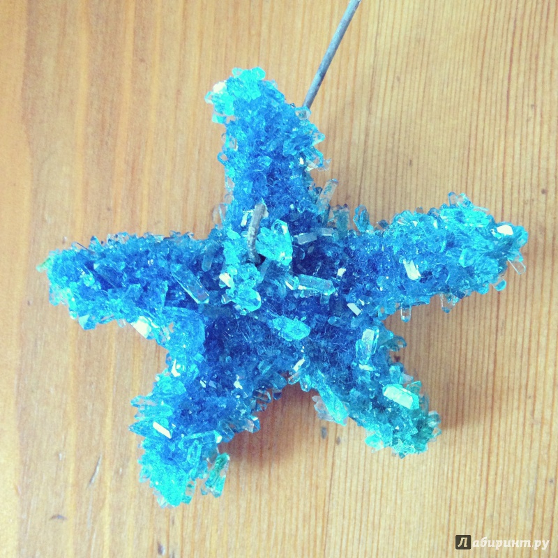 Иллюстрация 12 из 12 для Набор для выращивания кристаллов "Синий кристалл" (Вкр-008) | Лабиринт - игрушки. Источник: so-vanille